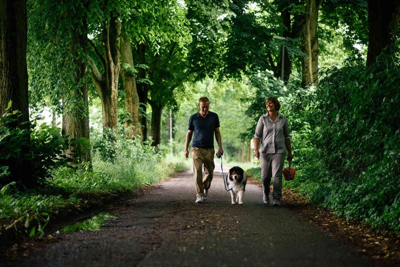 Zwei personen gehen im wald mit einem hund spazieren